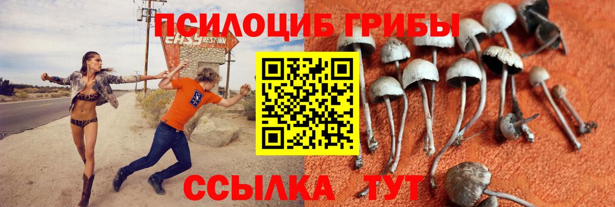 Галлюциногенные грибы GOLDEN TEACHER  Галлюциногенные грибы MAGIC MUSHROOMS  Старая Купавна  закладка  Вход с VPN 